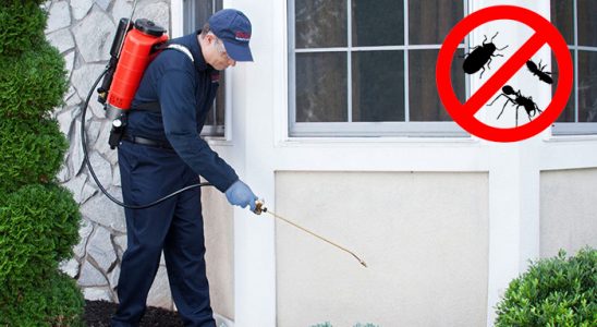 Çiftlikköy Uçan Haşere İlaçlama böcek ilaçlama ve haşere kontrolü — ilaclama-tr.com